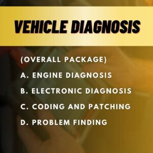 Vehicle health diagnosis Overall Package a. Engine diagnosis b. Electronic diagnosis c. Coding and Patching d. Problem finding
