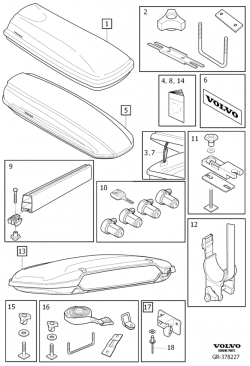 d11