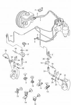 81 (17)